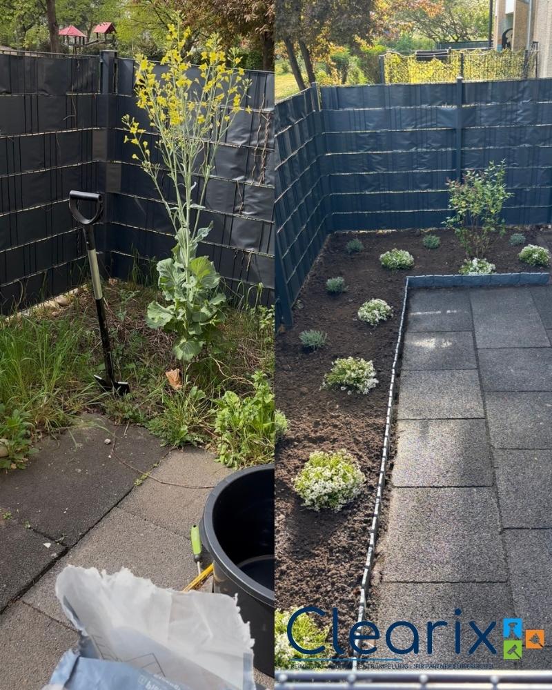 Gartenpflege in Darmstadt – Unkraut entfernt und neue Blumen gesetzt, vorher-nachher Ergebnis