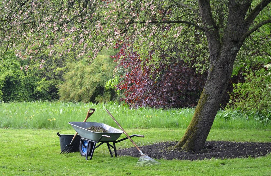 Gartenpflege mit Rasenschnitt und Heckenpflege durch Clearix in Darmstadt